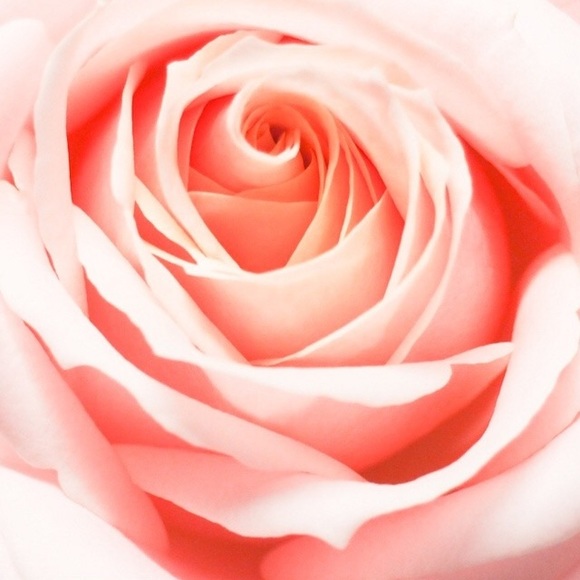 Meet your Posher, Irene - Picture 1 of 1